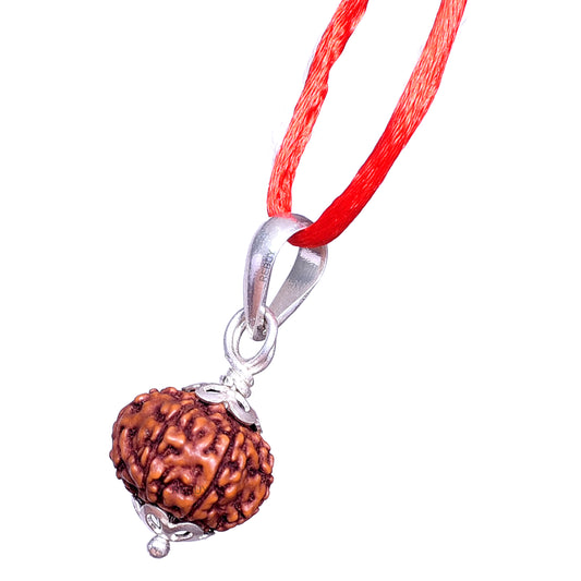 10 Mukhi Rudraksha Pendant Indonesian/Java Rudraksha Lab Certified Original Rudraksha Pendant for Men & Women, Origin Indonesian, Color Brown