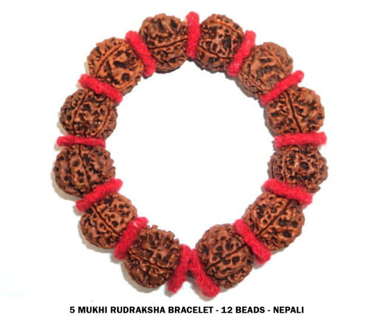 5 Mukhi Rudraksha Bracelet / Guru Bracelet Lab Certified for Men and Women BY REBUY