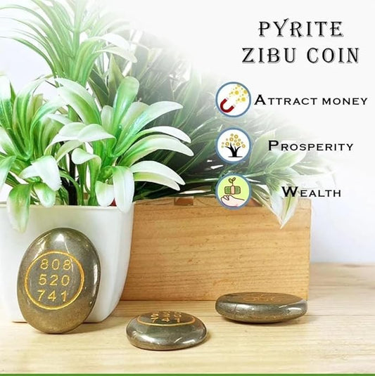 Pyrite Stone Money Switch Coin Word and Zibu Symbol BY REBUY