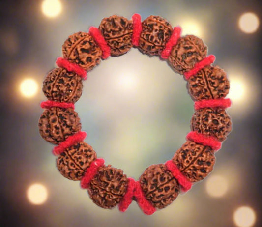 5 Mukhi Rudraksha Bracelet / Guru Bracelet Lab Certified for Men and Women BY REBUY