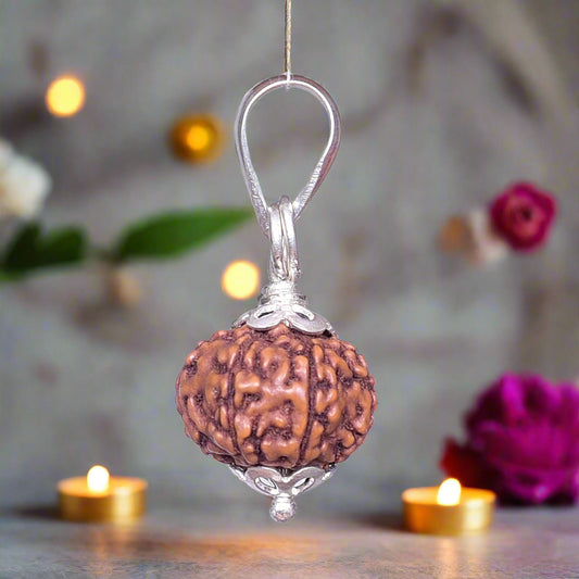 10 Mukhi Rudraksha Pendant Indonesian/Java Rudraksha Lab Certified Original Rudraksha Pendant for Men & Women, Origin Indonesian, Color Brown