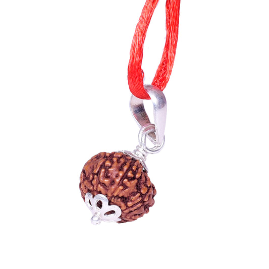 10 Mukhi Rudraksha Pendant Indonesian/Java Rudraksha Lab Certified Original Rudraksha Pendant for Men & Women, Origin Indonesian, Color Brown