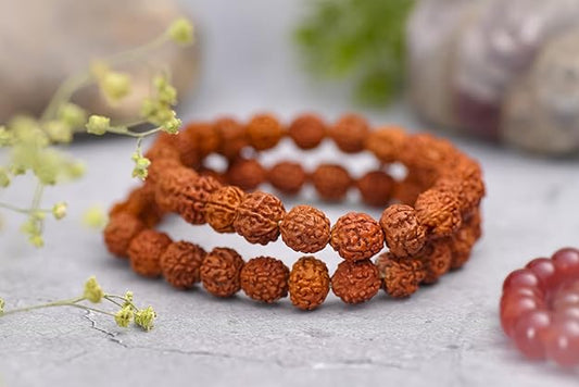 5 Mukhi Rudraksha Bracelet  Lab Certified Bracelet  Bead Size 8mm BY REBUY