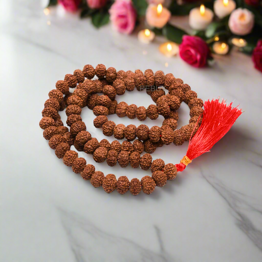 7 Mukhi Rudraksha Mala Rudraksh Jaap Mala for Men & Women, 108+1 Beads by REBUY